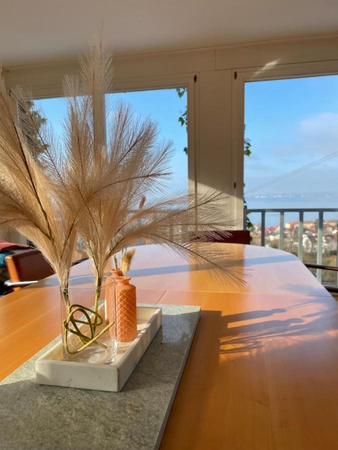 Villa Mit Traumhaftem Blick Uber Den Bodensee Брегенц Екстер'єр фото